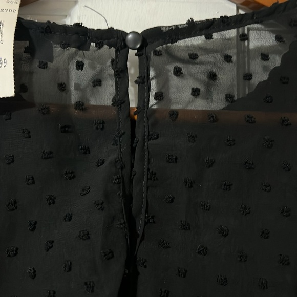 Sheer Crop Long Sleeve Top - Picture 4 of 5